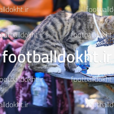 تمرین تیم فوتبال زنان آوا تهران