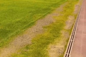 داستان کامل چمن هیبریدی ورزشگاه یادگار امام تبریز چه بود؟