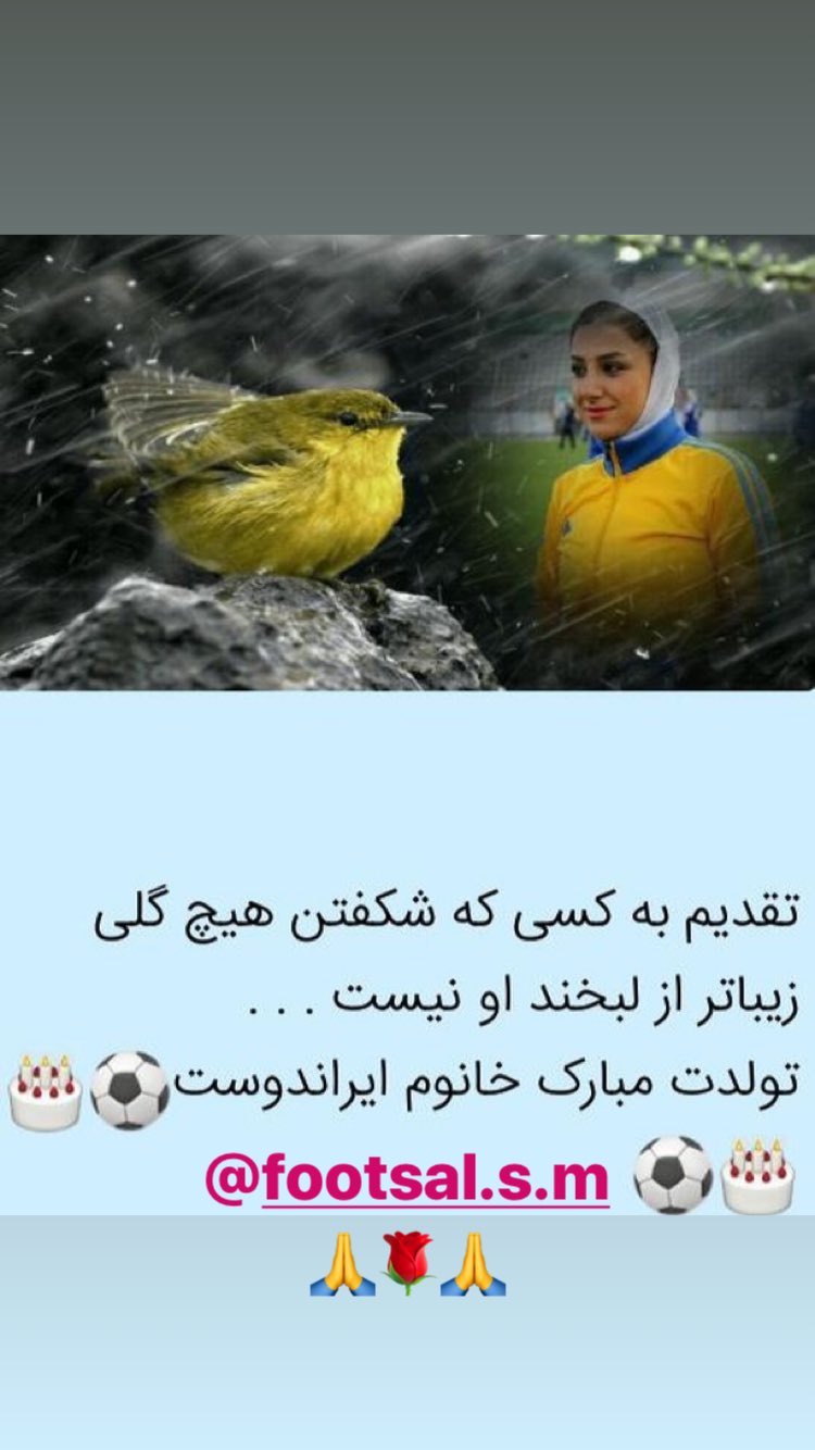 فوتبالی ها تولد «ایراندوست» را تبریک گفتند فوتبالی ها تولد «ایراندوست» را تبریک گفتند