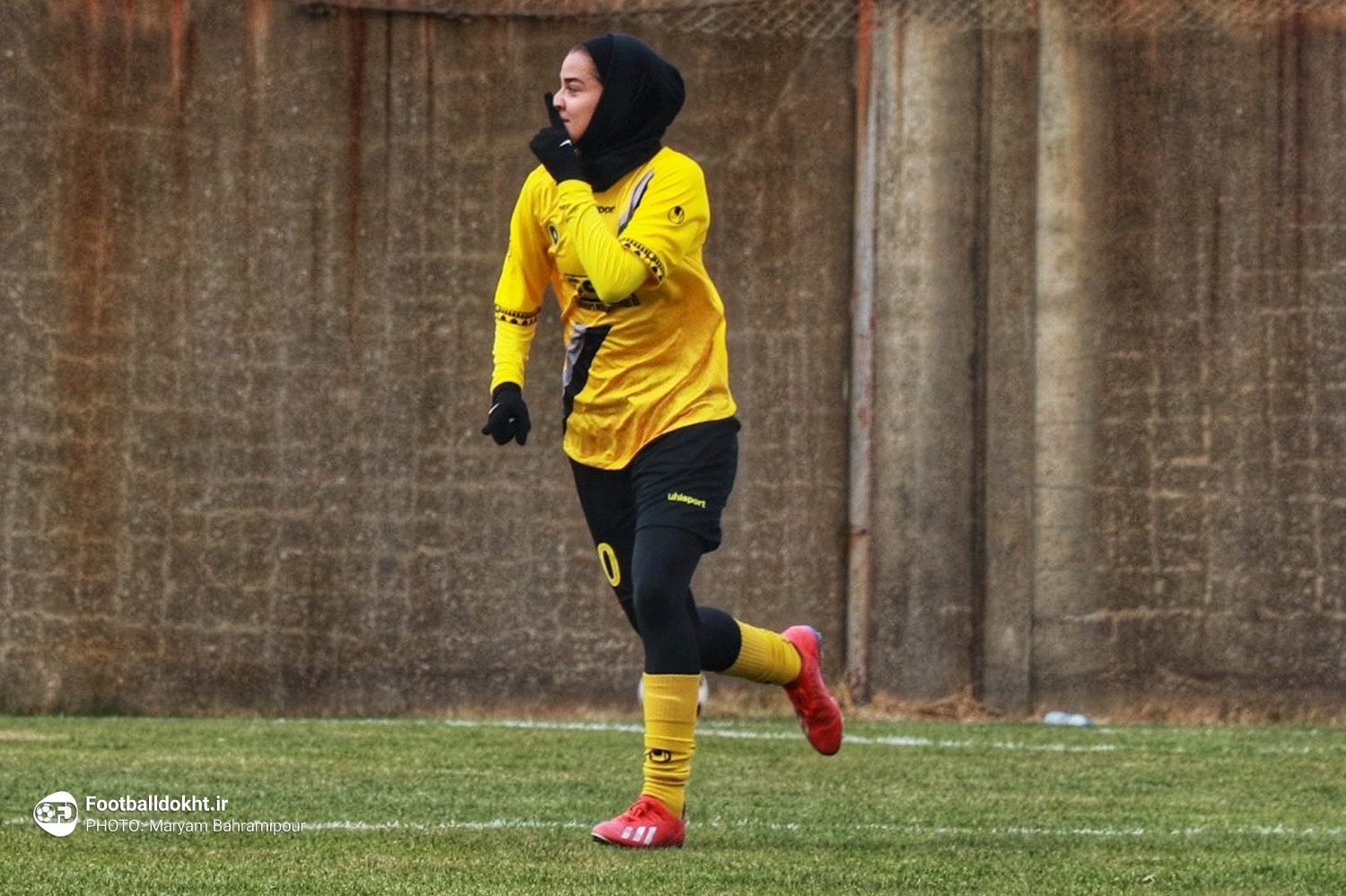 هاجر دباغی